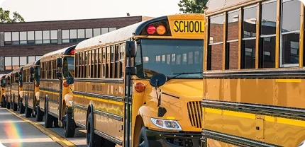 School5